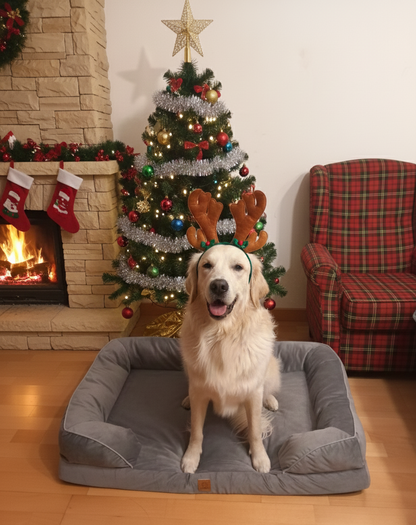 Cama ortopédica Aterciopelada