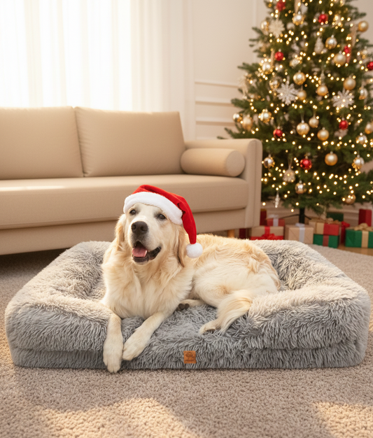 Cama ortopédica Afelpada