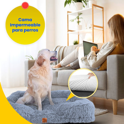 Cama ortopédica Afelpada al vacío