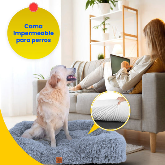 Cama ortopédica Afelpada al vacío